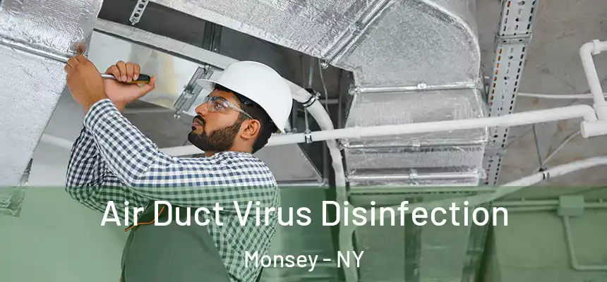 Air Duct Virus Disinfection Monsey - NY