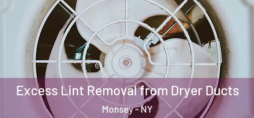 Excess Lint Removal from Dryer Ducts Monsey - NY