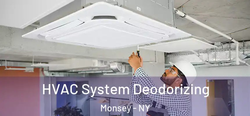  HVAC System Deodorizing Monsey - NY