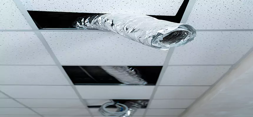 Affordable HVAC Sanitizing After Pest Removal in Monsey