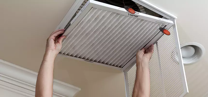 Our Insect Removal from Air Ducts Services in Monsey, NY