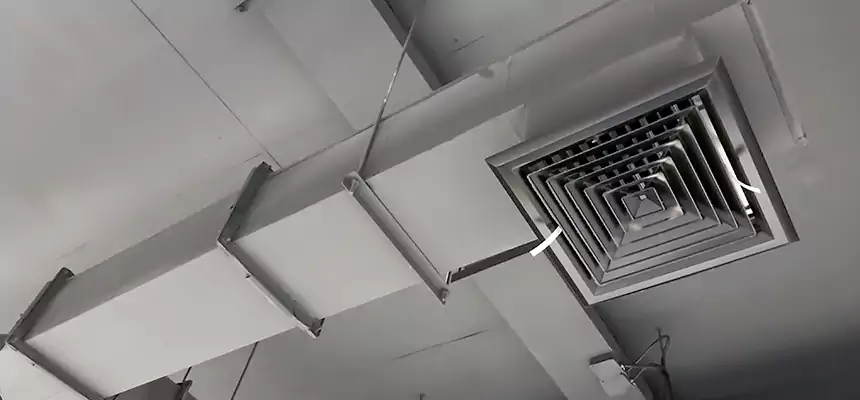 Our Rodent Droppings In Vents Services in Monsey, NY