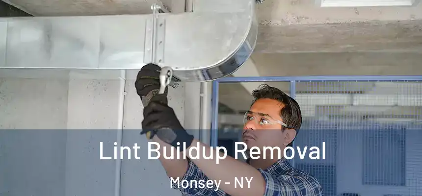  Lint Buildup Removal Monsey - NY
