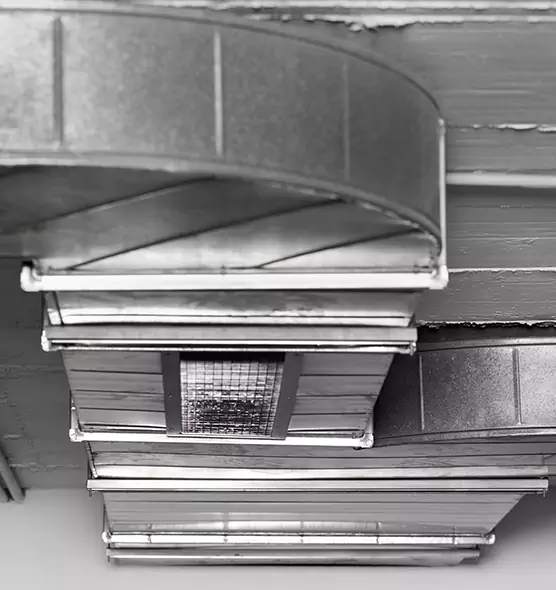 Professional Air Duct Pest Removal in Monsey, NY