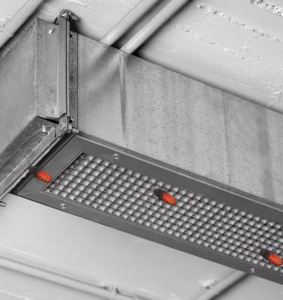 Affordable Insect Removal from Air Ducts in Monsey, NY
