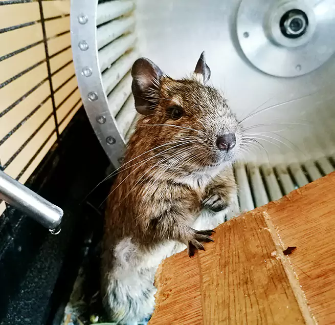 Why Homeowners & Businesses Trust Us Monsey, NY?